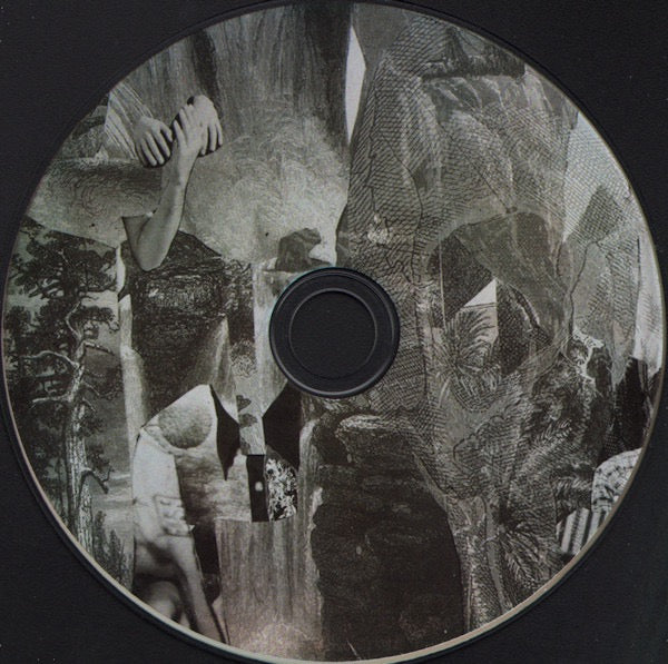 Pete and the Pirates – One Thousand Pictures (CD, Stolen Recordings Ltd., 2011) – Mint