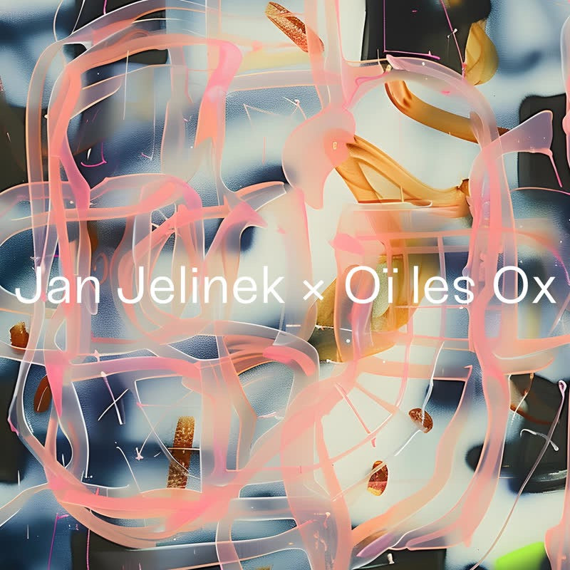 Jan Jelinek x Oi les Ox 12' Constructive '25 mint/sealed