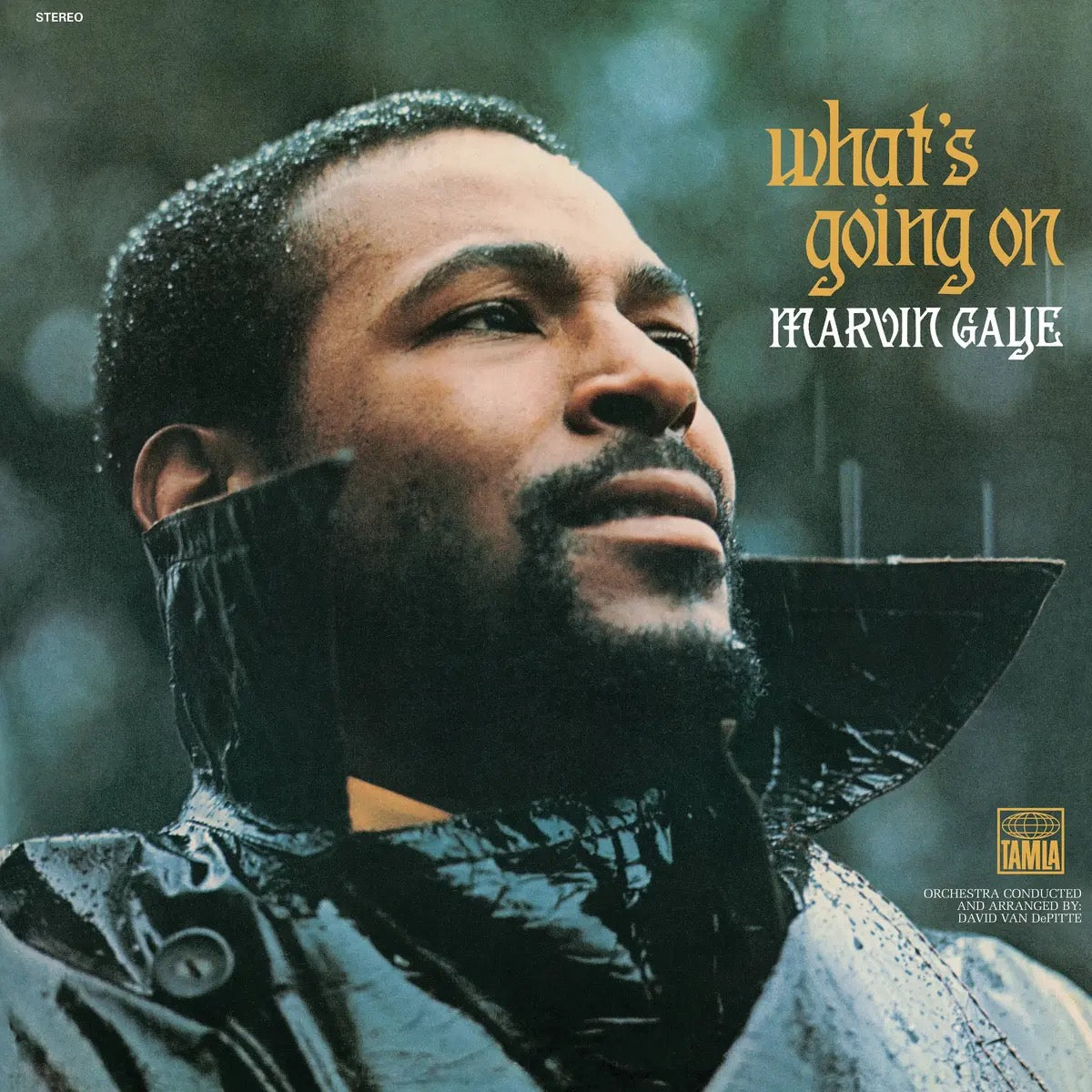 The cover image shows the artist, Marvin Gaye, with a serious expression, wearing a dark jacket and a scarf, against a blurred background.