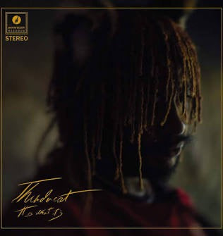 Thundercat – It Is What It Is (Deluxe Clear Vinyl LP, Brainfeeder Records, 2020) – Mint / Sealed