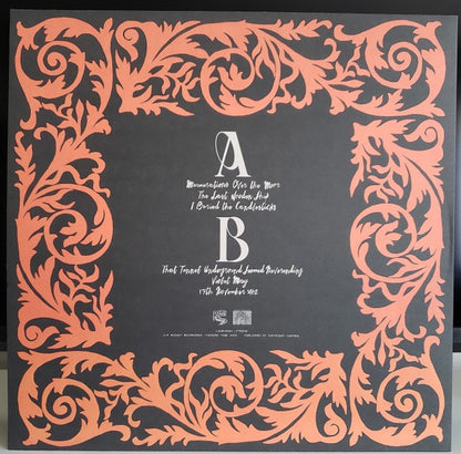 Alison Cotton - The Portrait you Painted of Me (Red Vinyl LP,  Rocket, 2022) - Near Mint