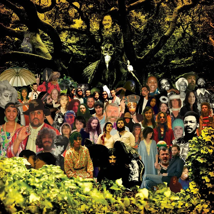 Devandra Banhardt Cripple Crow (50th anniversary 3-LP tri-colour vinyl)