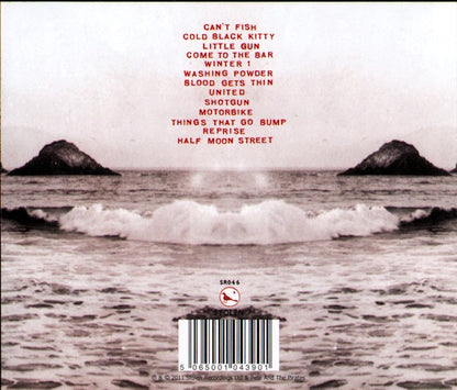 Pete and the Pirates – One Thousand Pictures (CD, Stolen Recordings Ltd., 2011) – Mint