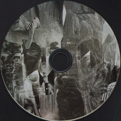 Pete and the Pirates – One Thousand Pictures (CD, Stolen Recordings Ltd., 2011) – Mint