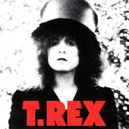 T.Rex - The Silder (Vinyl LP, Priority, 1971) - EX /EX