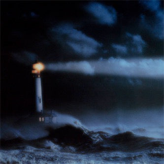 John Maus - We Must Become Pitiless Censors of Ourselves (Vinyl LP,  Ribbon Music) - Mint / Sealed