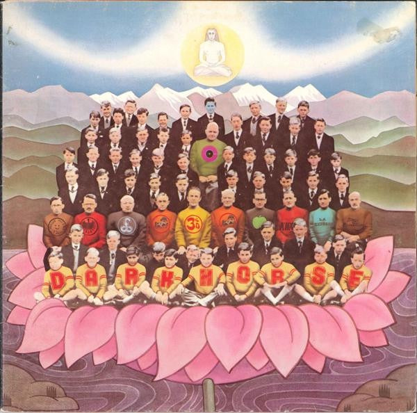 George Harrison - Dark Horse (Vinyl LP, Apple, 1974) - Near Mint