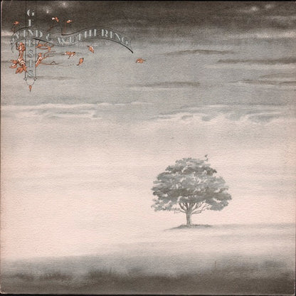 Genesis – Wind & Wuthering (Vinyl LP, Charisma Records Ltd, 1976, Textured Cover) – EX / EX