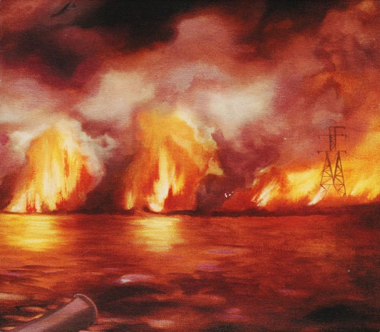 The Besnard Lakes – The Besnard Lakes Are the Roaring Night (Vinyl LP, Jagjaguwar, 2010) – EX / EX