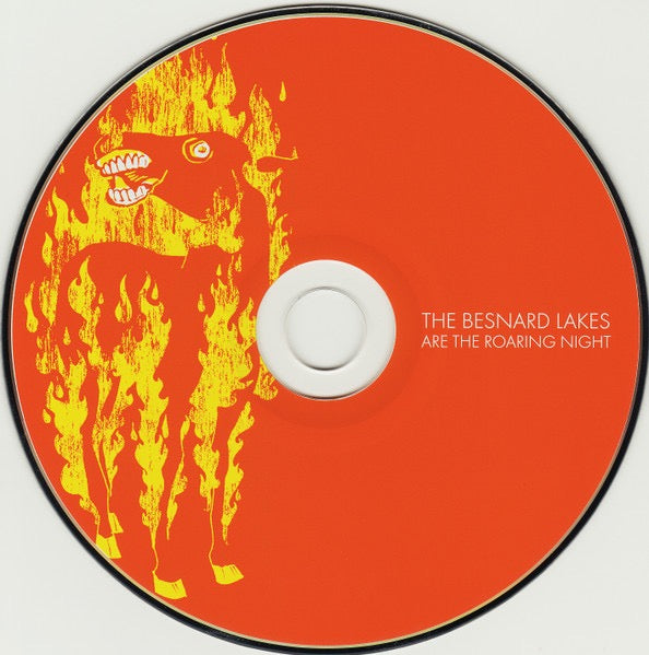 The Besnard Lakes – The Besnard Lakes Are the Roaring Night (Vinyl LP, Jagjaguwar, 2010) – EX / EX