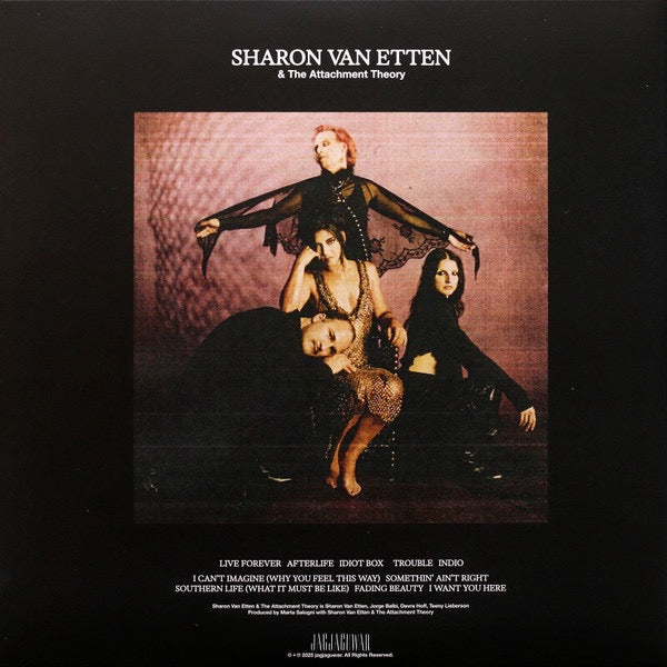 Sharon Van Etten & The Attachment Theory - (Awareness Edition Amber Galaxy Vinyl LP, Jagjaguwar) – Mint / Sealed