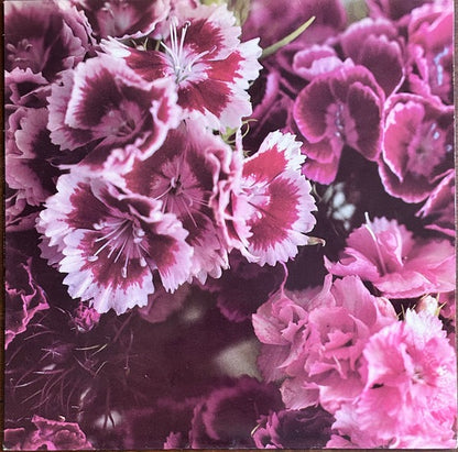 Biff Bang Pow! – The Girl Who Runs the Beat Hotel [LP Vinyl, Original 1987 Creation Pressing]