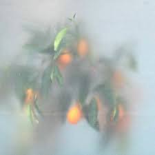 U-Ziq - Secret Garden LP Mint/Sealed