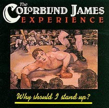 The Colorblind James Experience – Why Should I Stand Up? (Vinyl LP, Death Valley Records, 1989) – Near Mint