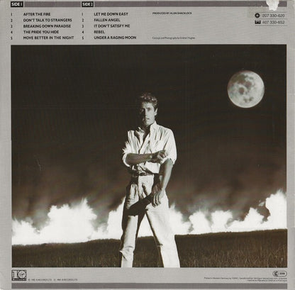 Roger Daltrey – Under a Raging Moon (Vinyl LP, Virgin Records, 1985) – EX / EX