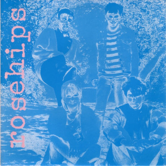 The Rosehips - I Shouldn't Have to Say (12" EP, The Subway Organisation) - EX / EX