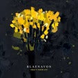 Blaenavon That's Your Lot 2-LP Transgressive Vinyl Mint and Sealed